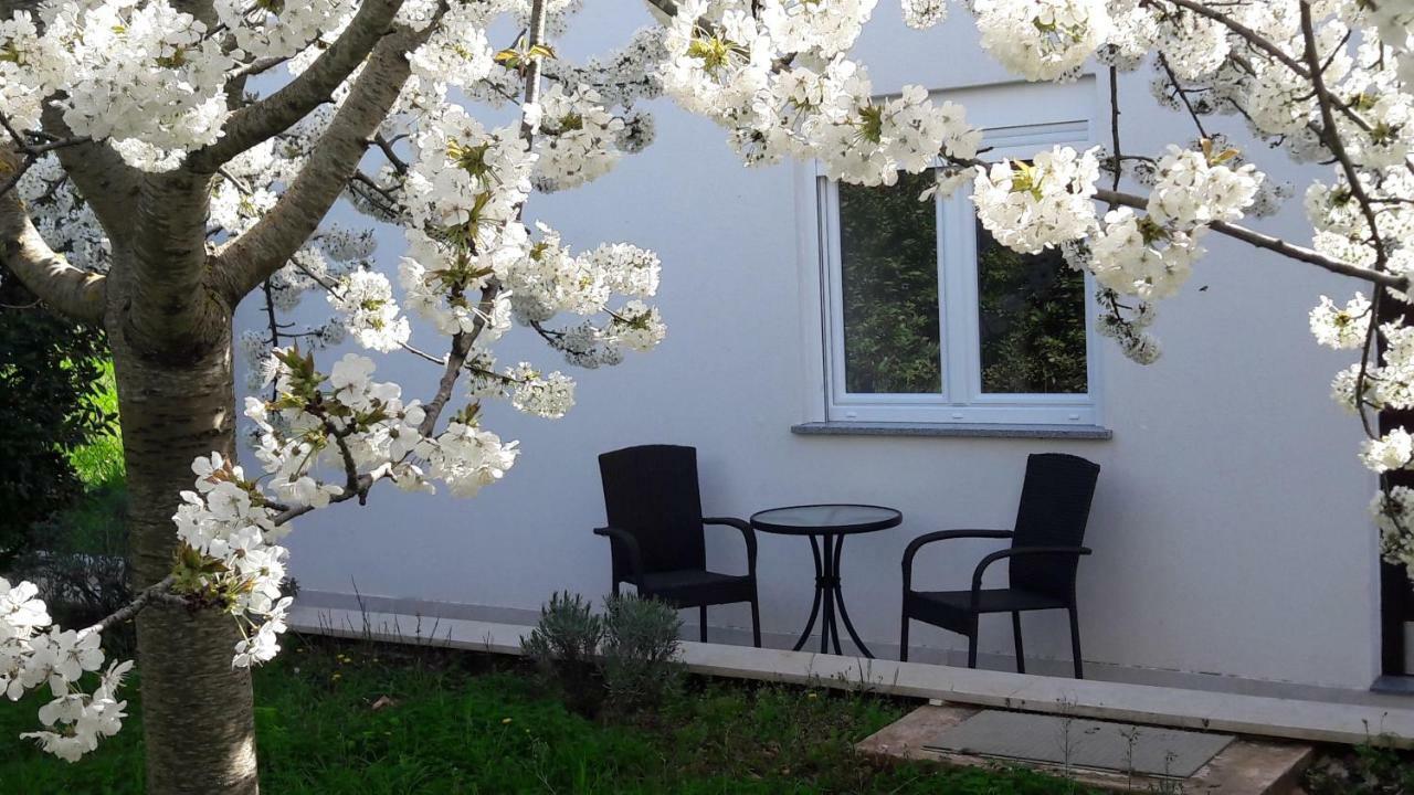 Apartment Greeny Galizana Екстер'єр фото